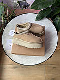 Жіночі уги UGG Tazz Slipper Sand 1122553-SAN, фото 6
