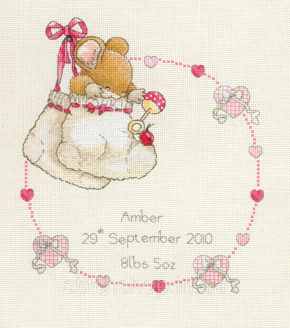CTM0006 Anchor Country Companions - New Baby. Anchor. Набір для вишивання ниткою