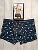Чоловічі труси боксери сині Navigare 21337z, фото 2