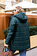 Зимова жіноча куртка на синтепоні дута 48-50, 52-54, 56-58, 60-62 (00187), фото 5