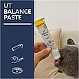 Вітамінна паста GimCat Expert Line UT Balance для котів, 50 г, фото 4