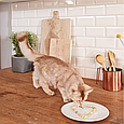 Ласощі GimCat GrasBits для кішок, таблетки з травою, 425 г, фото 4