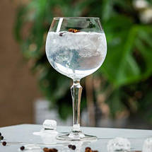 Келих для коктейлів ONIS (Libbey) Spksy GIN&TONIC, 585 мл (SCU 601541) (601541), фото 4