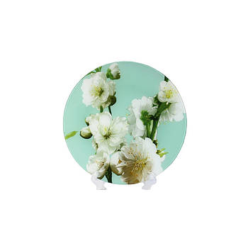 Блюдо Interos 30 см Яблоня бірюза 77578 (ИТ-S3012/R067)