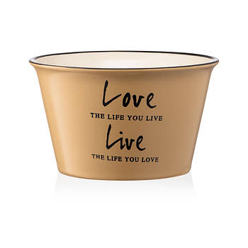 Бульйонниця Ardesto Way of Life 550 мл Beige (AR3479OL)