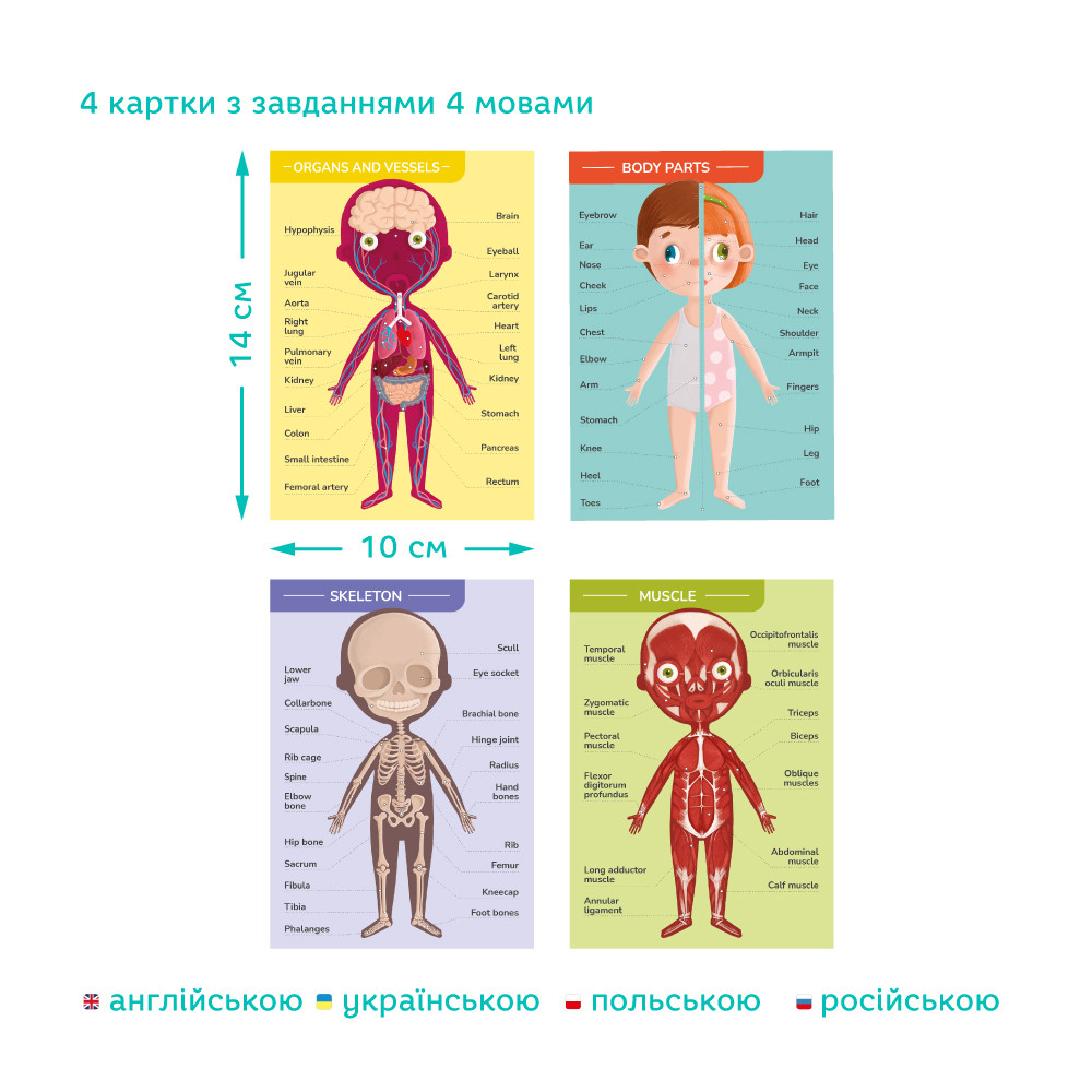 Product image preview