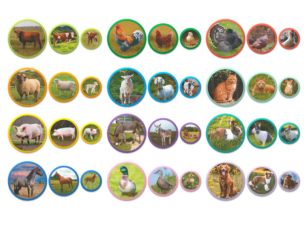 Product image preview