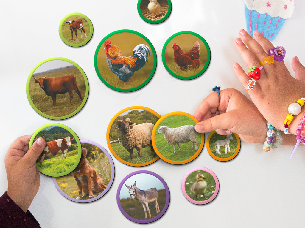 Product image preview