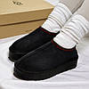 Зимові жіночі UGG Tasman Platform Black Чорні Взуття УГГІ Тасман низькі на платформі замша теплий щільний хутро, фото 6