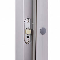 Скляні двері для хамаму GREUS Premium 70/190 бронза матова, фото 5