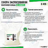 Ксантанова камедь 1 кг, Загусник для випічки, соусів і десертів, E415, фото 3