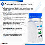 Ментол (L) ТМ Клебріг 50 г Природна форма, фото 4