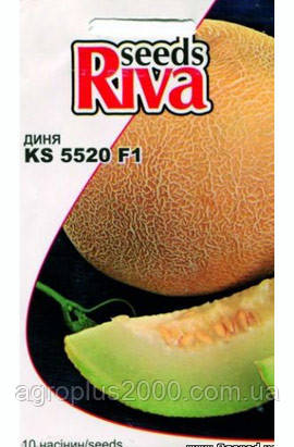 Насіння Диня КS 5520 F1, 10 насіння Kitano Seeds, фото 1