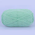 Premium Yarn Winter, М'ятний No613, фото 3