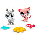 Ігровий набір "Гра в хованки" Littlest Pet Shop 00509 аксесуари та 2 фігурки, фото 2