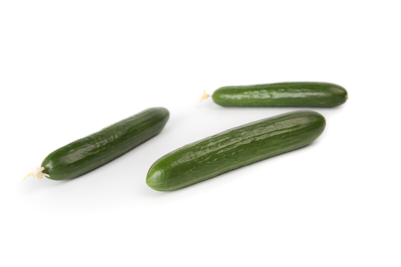 Насіння огірка Яні F1 Rijk Zwaan 1000