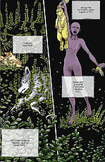 Книга «Відьомський рай. Том 1». Автор - Юмеджі, фото 4