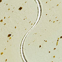 Тонізуючі патчі Patchology Moodpatch Perk Up, фото 3