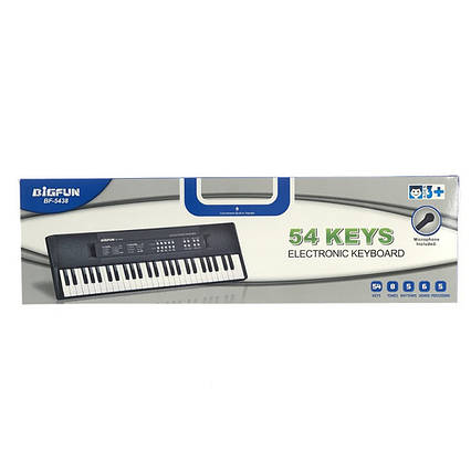 Синтезатор іграшковий з мікрофоном та функцією запису BF-5438 54 клавіші