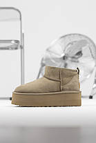 Зимові Жіночі Черевики UGG Classic Ultra Mini Platform Beige / УГГ Класик Ультра Міні Платформ Темно Бежеві, фото 3