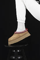 Зимові Жіночі Черевики UGG Tasman Platform Chestnut Brown / УГГ Тасман Платформ Чеснат Коричневі, фото 3