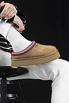 Зимові Жіночі Черевики UGG Tasman Platform Chestnut Brown / УГГ Тасман Платформ Чеснат Коричневі, фото 4