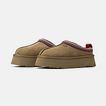 Зимові Жіночі Черевики UGG Tasman Platform Chestnut Brown / УГГ Тасман Платформ Чеснат Коричневі, фото 5