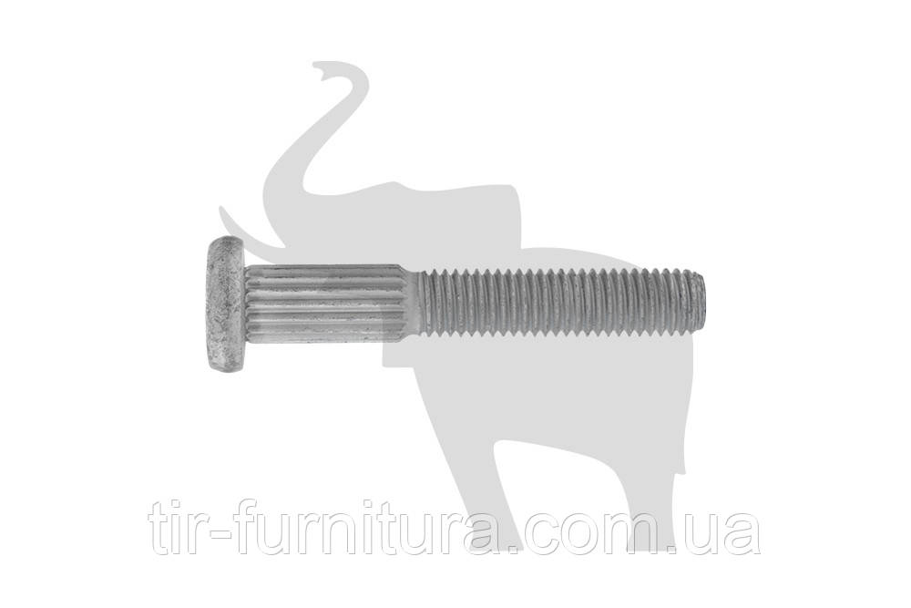 Болт Ø10х65 SCHMITZ, фото 1