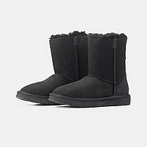 Зимові Жіночі Черевики UGG Classic Short 2 ZIP Black / УГГ Класік Шорт 2 Зіп Чорні, фото 5