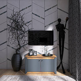 Тумба 2-х дверна закрита Еверест Нордік-980 98х38х53 см Графіт + Дуб крафт золотий (DTM-5526)