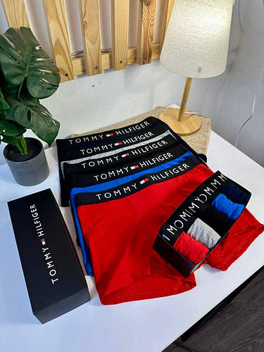 Набор мужских трусов 5 (шт) . Трусы Hilfiger. Мужские трусы Томми ...