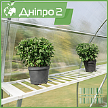 Теплиця "Дніпро-2" 2х5 м / профільна труба 20Х20 мм / стільниковий полікарбонат 6 мм PREMIUM, фото 6