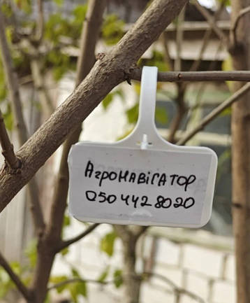 Набір для маркування рослин Таблички садові - бірки (3*5*7 см), 10 штук (Польща) + Маркер, фото 3