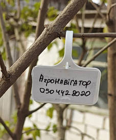 Таблички садові - бірки (3*5*7 см), 10 штук (Польща)