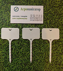 Набір для маркування рослин Таблички садові - бірки (3*5*7 см), 10 штук (Польща) + Маркер, фото 5