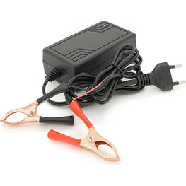 Мережевий зарядний пристрій для АКБ Voltronic LiFePO4 12V (14.6V),4S,2A (YT-CKS-14620) - оригінал