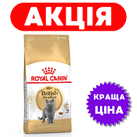 Корм для кішок