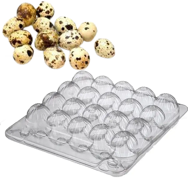 Лоток для перепелиних яєць на 20 шт
