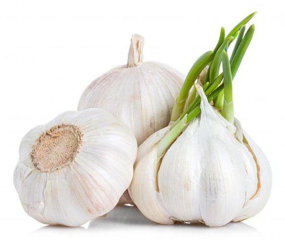 Екстракт часнику, фото 1