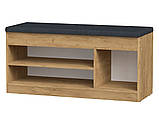 Тумба під взуття ТО-17 ательє світлий Компаніт (100x37,2х50 см), фото 3