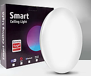Розумний стельовий світильник 1DAL | Wi-Fi, RGBCW, 24W (SSLP24W), фото 3
