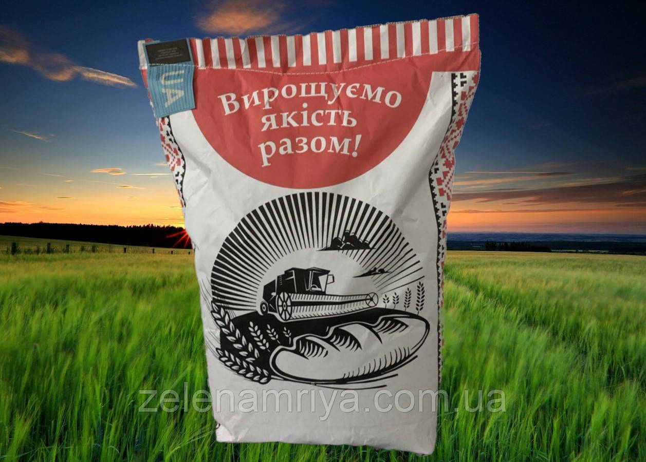 Насіння соняшника Ново-Альє під Евролайтинг