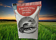 Насіння соняшника Шаран Класичний