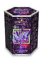 Набір для проведення дослідів "Growing Crystal 1", рос., у кор. 14*12*10см (8шт)