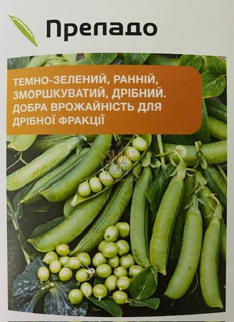 Горох ПРЕЛАДО 100 000 нас Агропакгруп