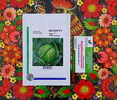 Насіння капусти Кеплер F1 (Syngenta), 100 насінин ― середньопізня (130-135 днів), білокачанна