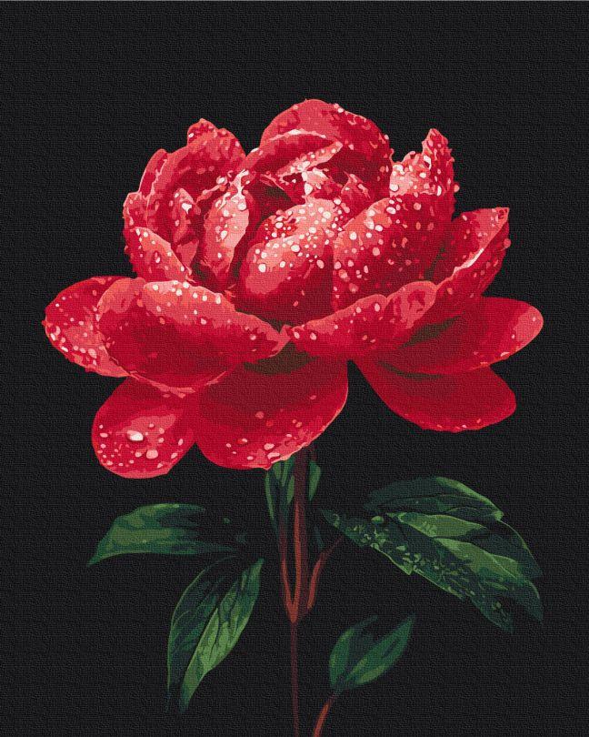 Картина за номерами BrushMe Півонії в сяйві роси (BSM-B54148) 40 х 50 см, фото 1