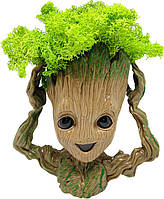 Кашпо зі стабілізованим мохом Грут G4