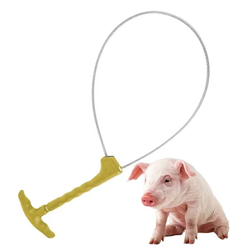 Петля для фіксації свиней, кіз, овець із нержавіючої сталі