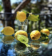 Алмазна мозаїка "Свіжі лимони на скляній поверхні", 40*50 см, на рамці, ТМ Dreamtoys